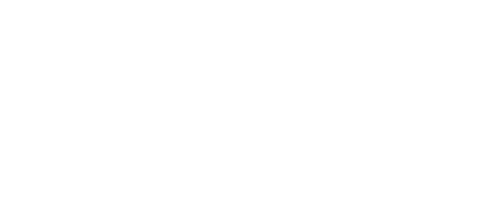 Levapar